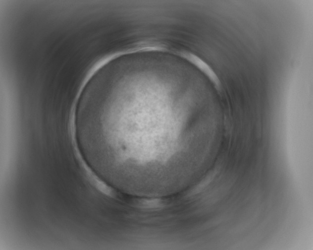 X0000113311431200909281115