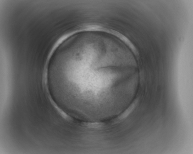 X0000113311432200909281115