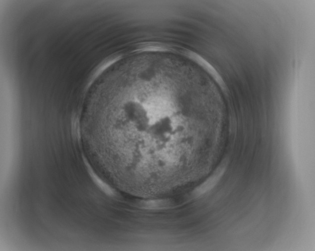 X0000113311433200909281115