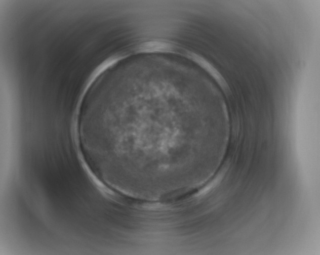 X0000113311434200909281115