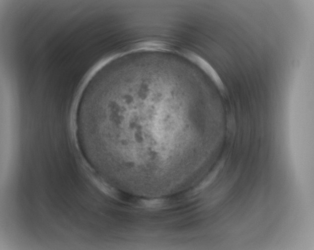 X0000113311435200909281116