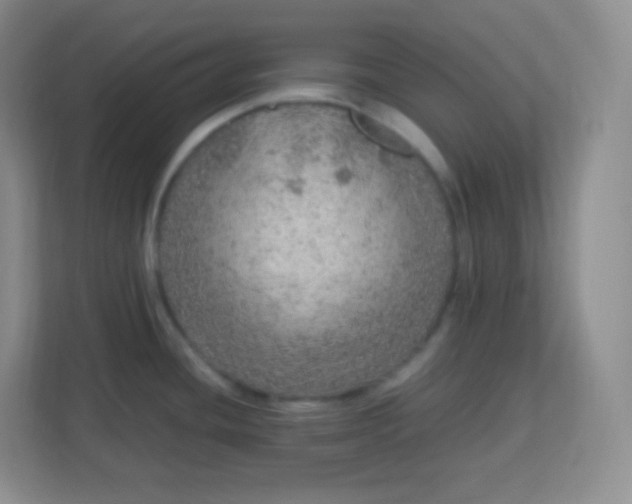 X0000113311436200909281116