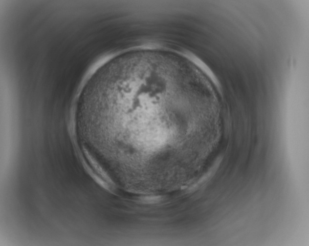 X0000113311437200909281116