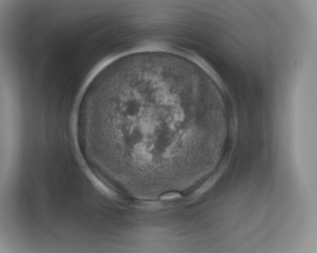 X0000113311438200909281116