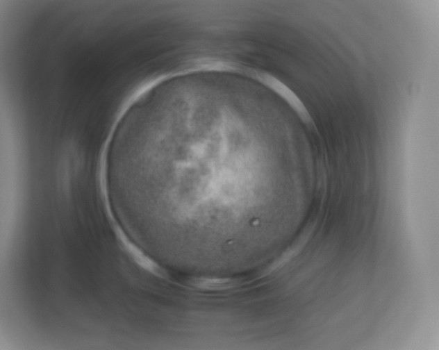 X0000113311439200909281116