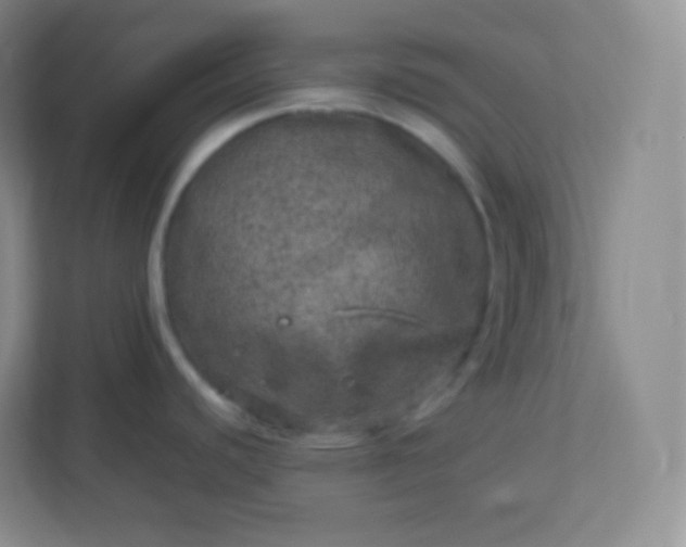 X0000113311440200909281116