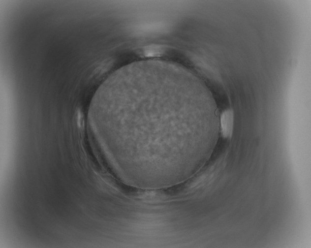 X0000113311443200909281115