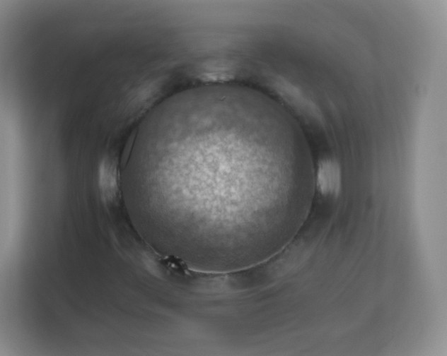 X0000113311444200909281115