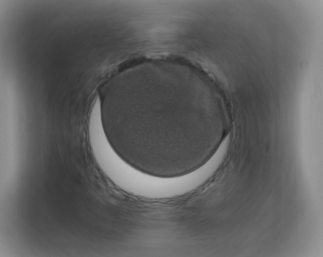 X0000113311445200909281115