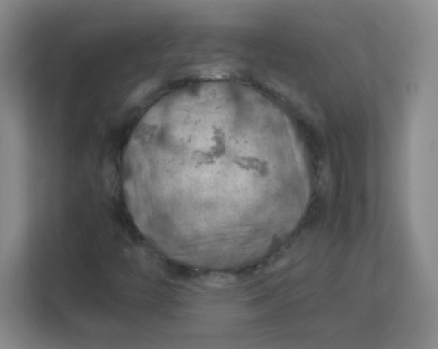 X0000113311446200909281115