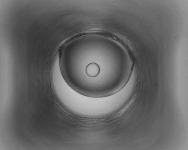 X0000113311449200909281115