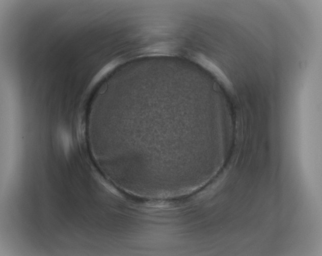 X0000113311450200909281115