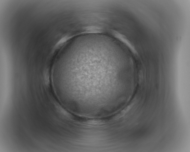 X0000113311451200909281115