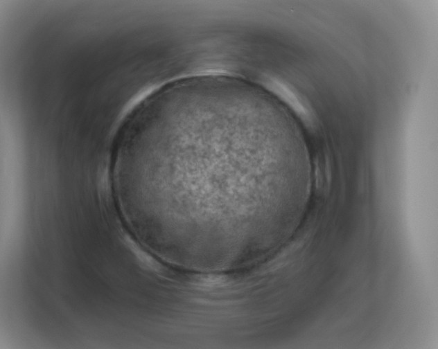 X0000113311452200909281115