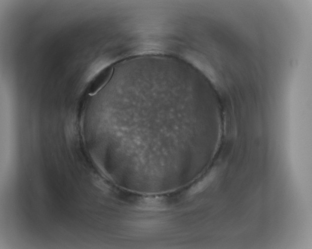 X0000113311453200909281115