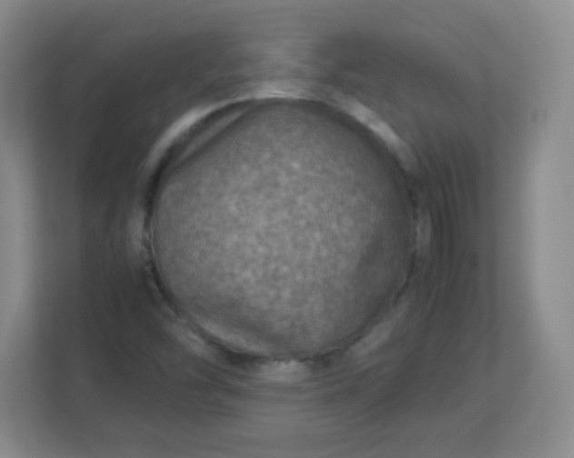 X0000113311454200909281115