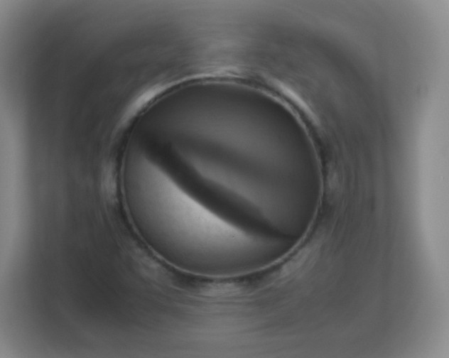 X0000113311455200909281115