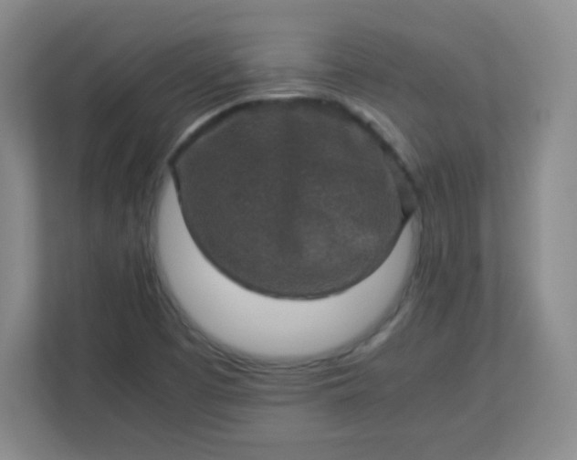 X0000113311457200909281115