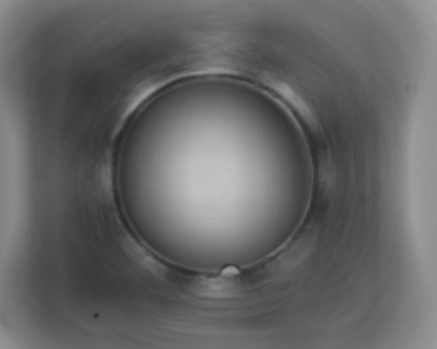 X0000113311460200909281115