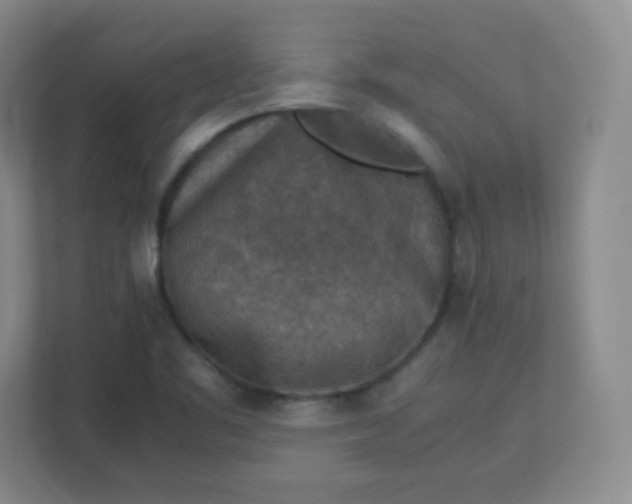 X0000113311461200909281115