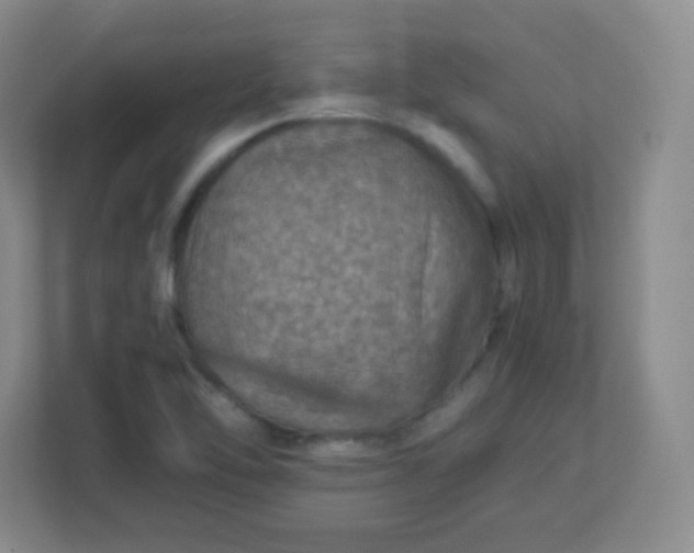 X0000113311462200909281115