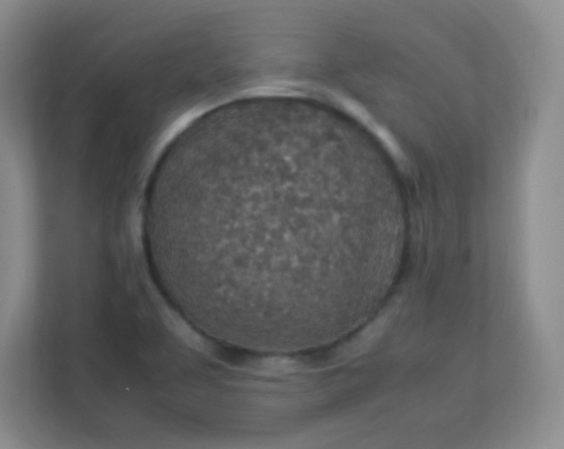 X0000113311463200909281115