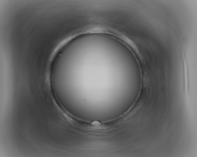 X0000113311464200909281115