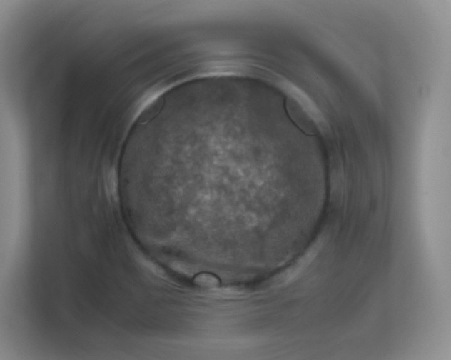 X0000113311465200909281115