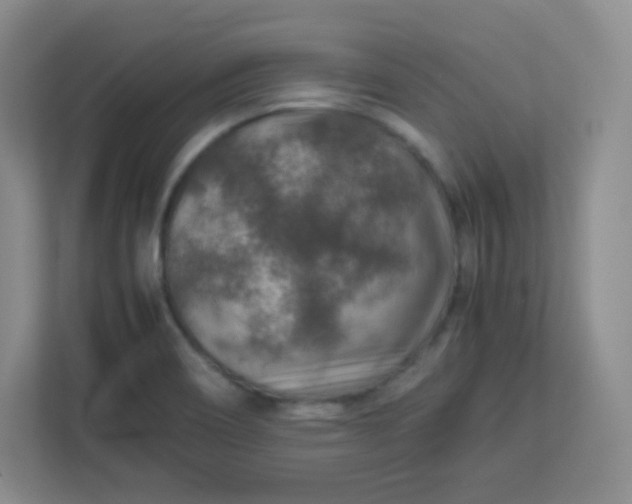 X0000113311466200909281115