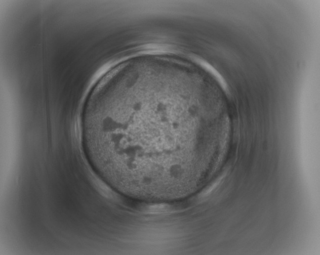 X0000113311467200909281115