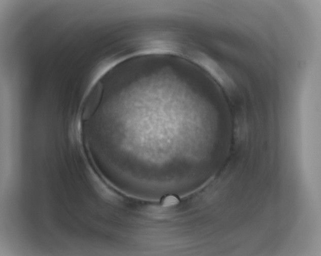 X0000113311468200909281115