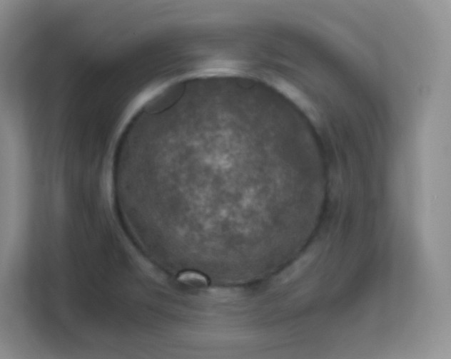 X0000113311469200909281115