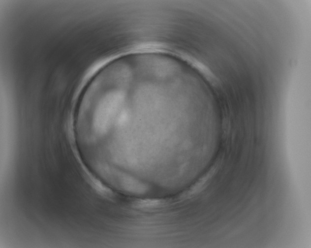 X0000113311470200909281115