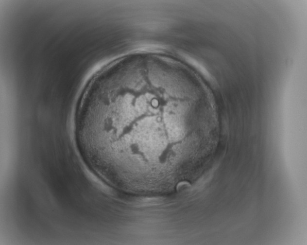 X0000113311471200909281115