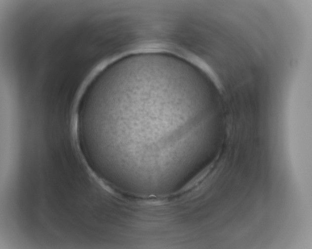 X0000113311472200909281115