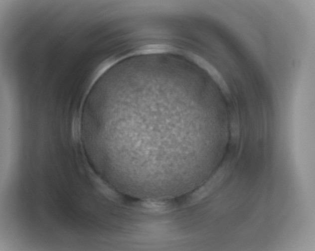 X0000113311473200909281115