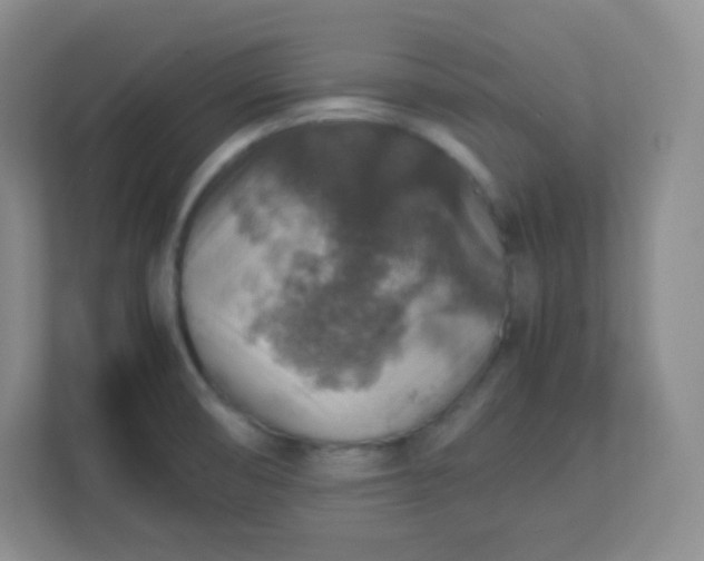 X0000113311474200909281115