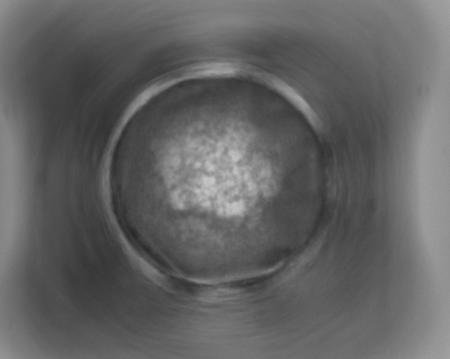 X0000113311475200909281115