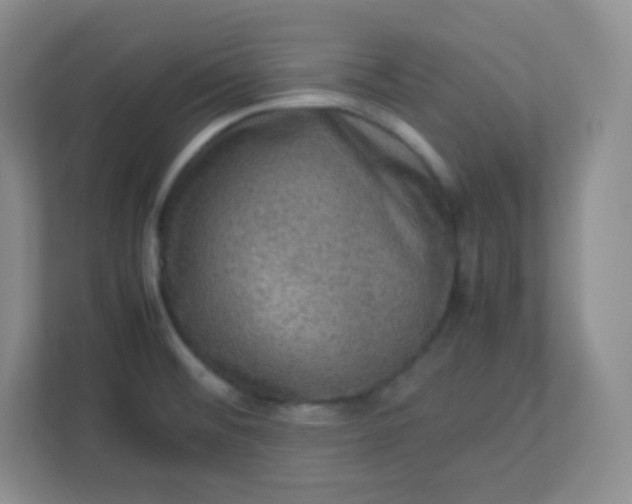 X0000113311476200909281114