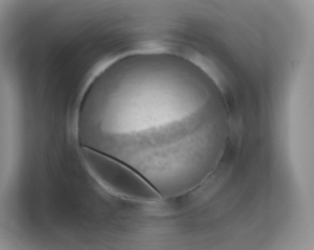 X0000113311477200909281114