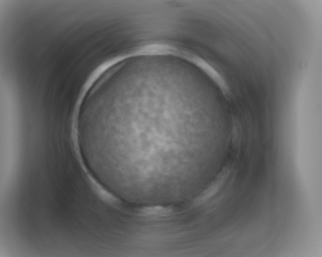 X0000113311478200909281114