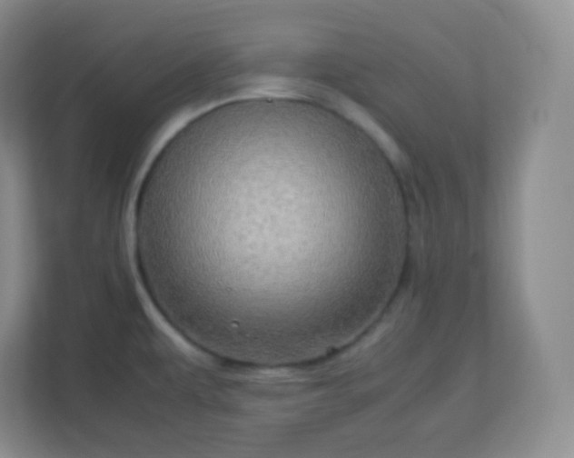 X0000113311479200909281114