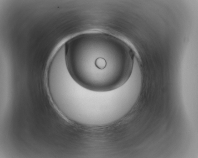 X0000113311480200909281114