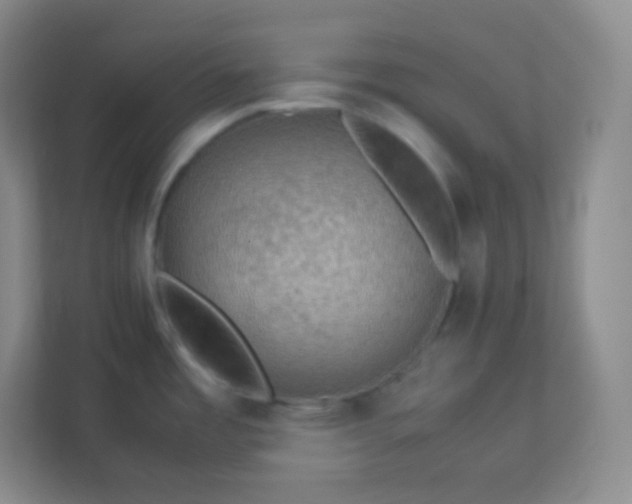 X0000113311485200909281114