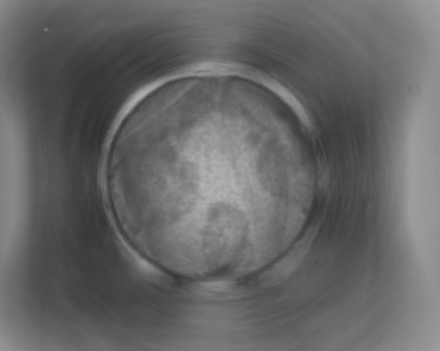 X0000113311486200909281114