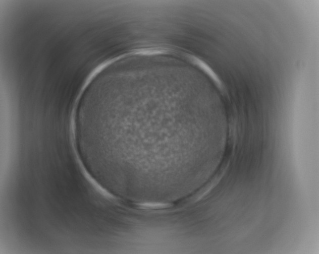 X0000113311487200909281114