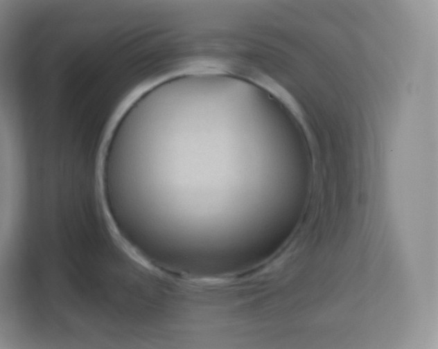 X0000113311488200909281114