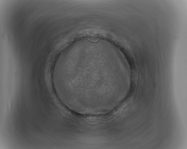 X0000113311489200909281114