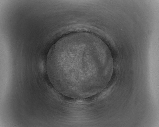 X0000113311490200909281114