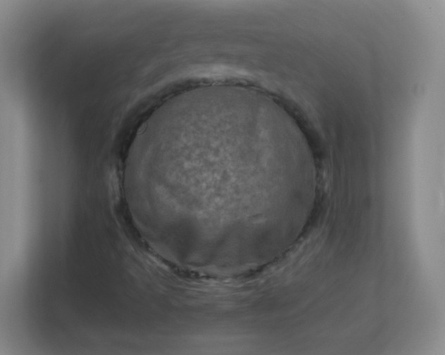 X0000113311493200909281114